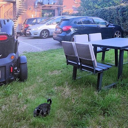 Logeerkamer Xxl 25 M2 Zemst Buitenkant foto
