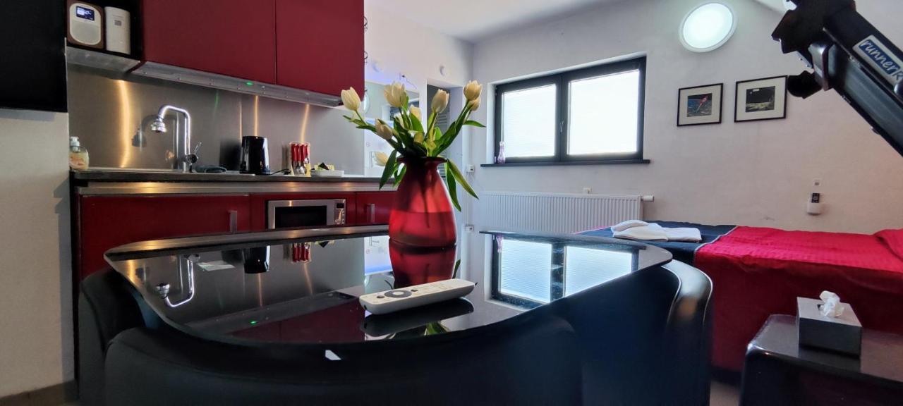 Logeerkamer Xxl 25 M2 Zemst Buitenkant foto